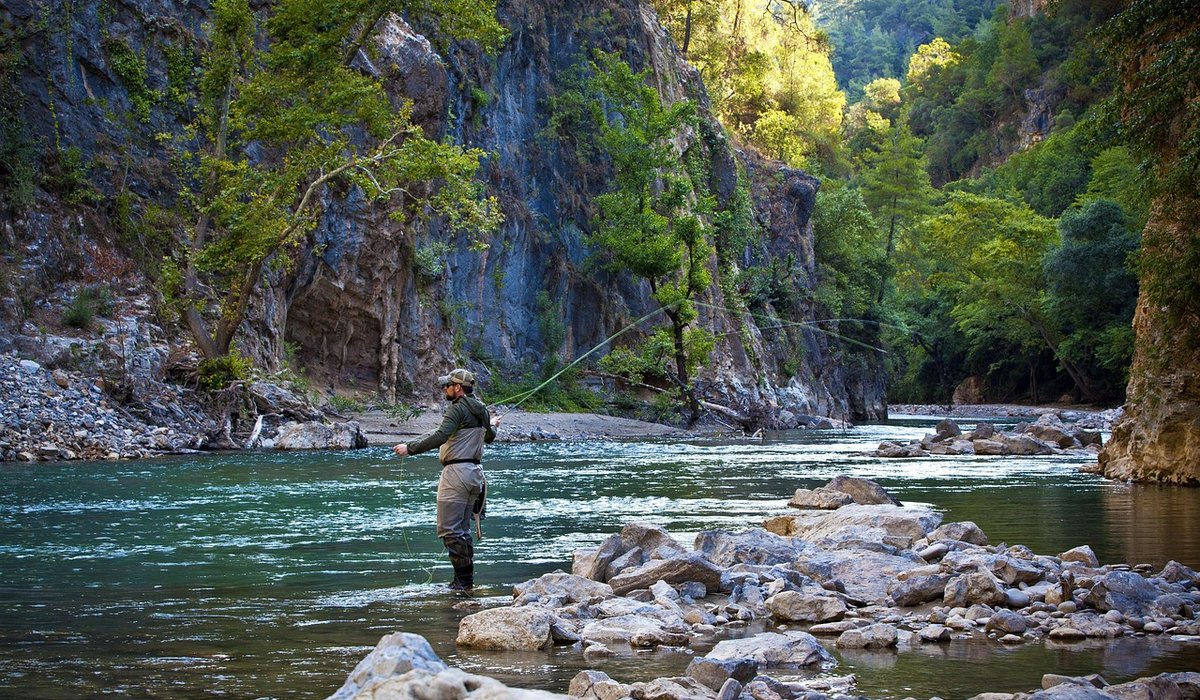 A Beginner's Guide to Pole Fishing on Canals