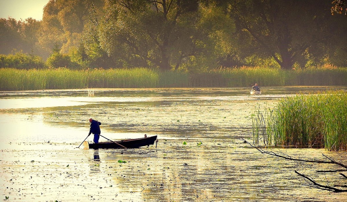 How to Fish the Waggler on Stillwaters