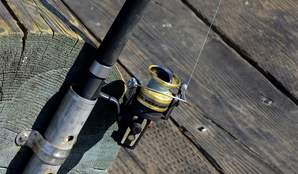 Setting Up a Running Ledger for River Barbel