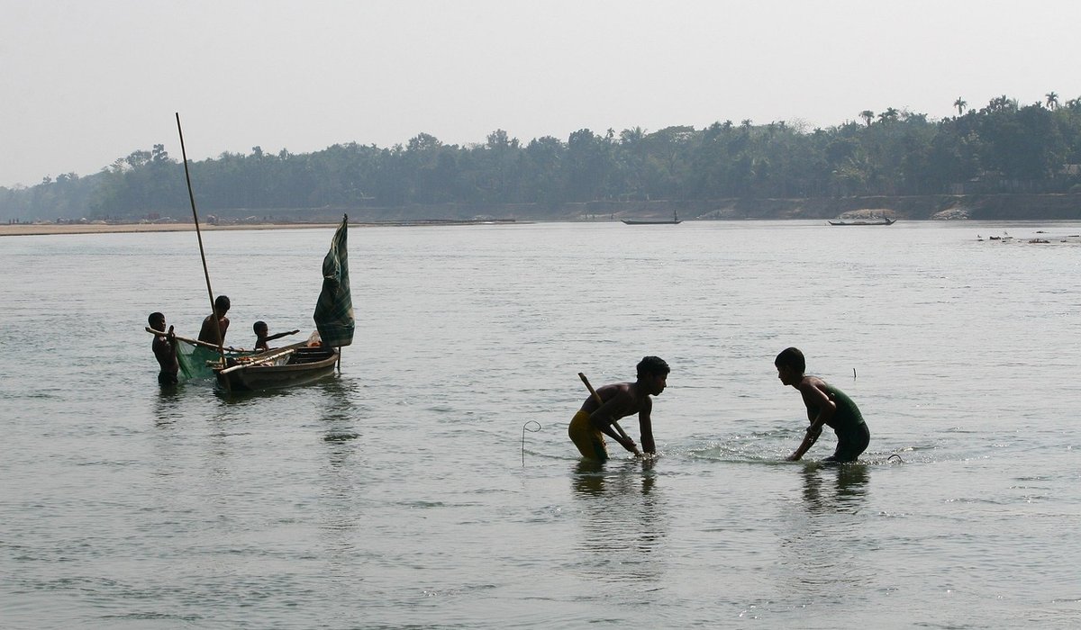 Understanding Swim Selection on Heavily Pressured Lakes